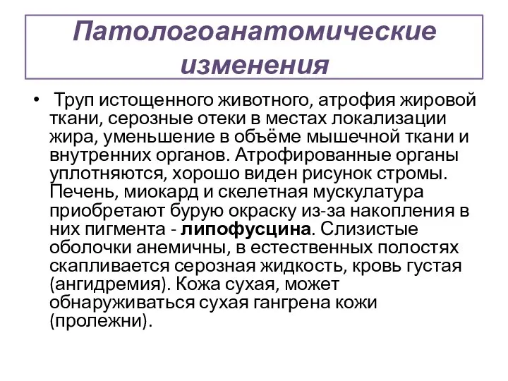 Патологоанатомические изменения Труп истощенного животного, атрофия жировой ткани, серозные отеки в