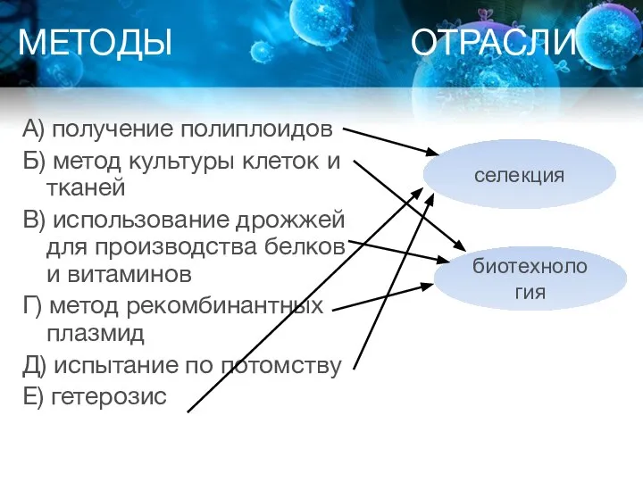 А) получение полиплоидов Б) метод культуры клеток и тканей В) использование