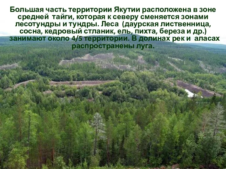 Большая часть территории Якутии расположена в зоне средней тайги, которая к