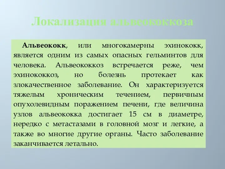 Локализация альвеококкоза Альвеококк, или многокамерны эхинококк, является одним из самых опасных