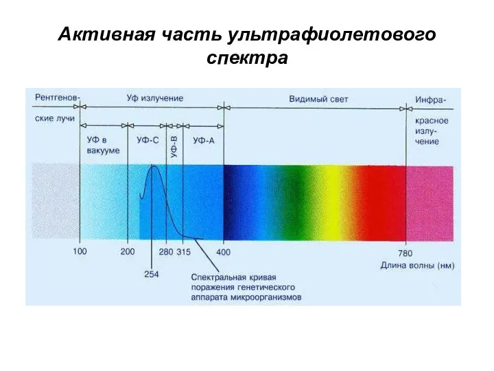Активная часть ультрафиолетового спектра