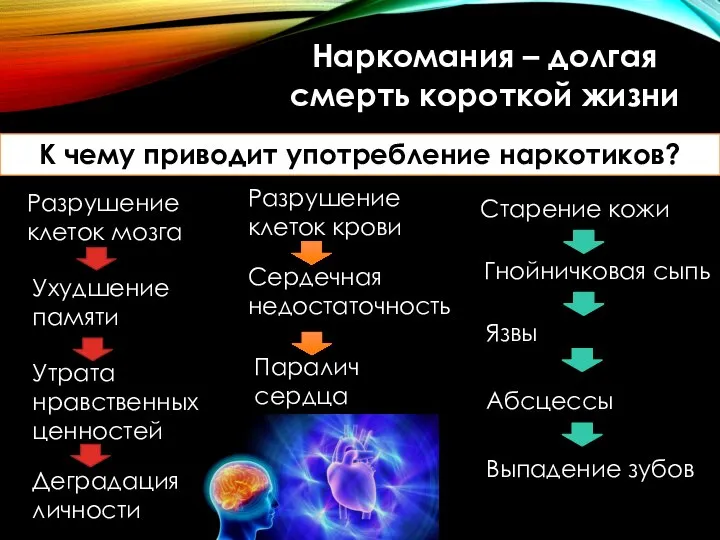 Наркомания – долгая смерть короткой жизни К чему приводит употребление наркотиков?