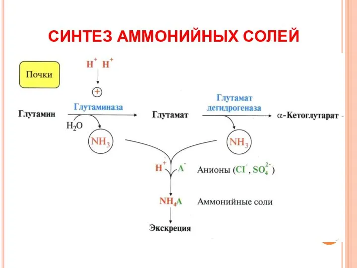 СИНТЕЗ АММОНИЙНЫХ СОЛЕЙ