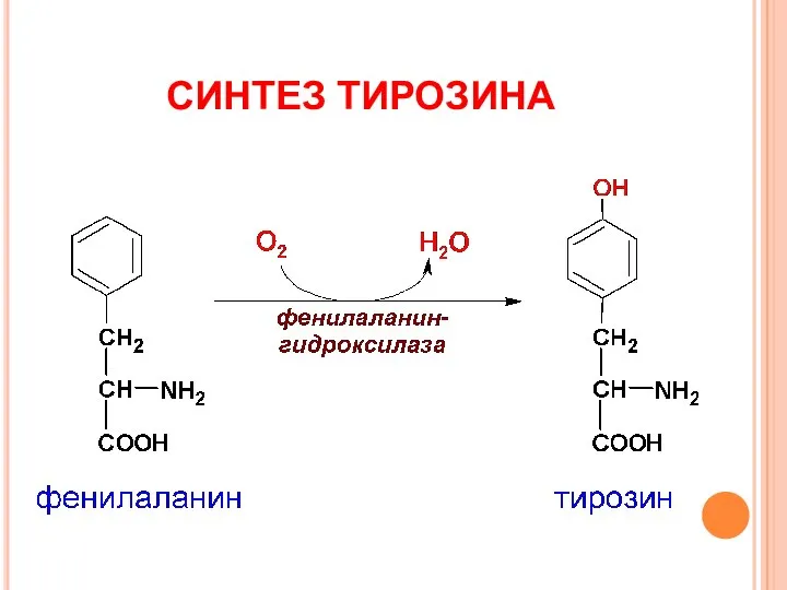 СИНТЕЗ ТИРОЗИНА