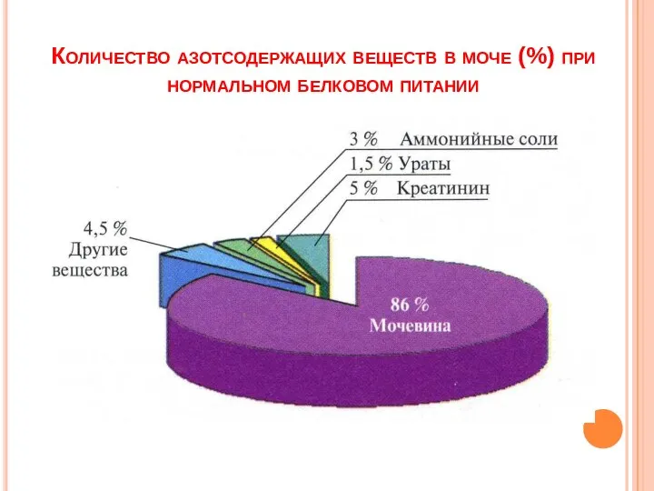 Количество азотсодержащих веществ в моче (%) при нормальном белковом питании