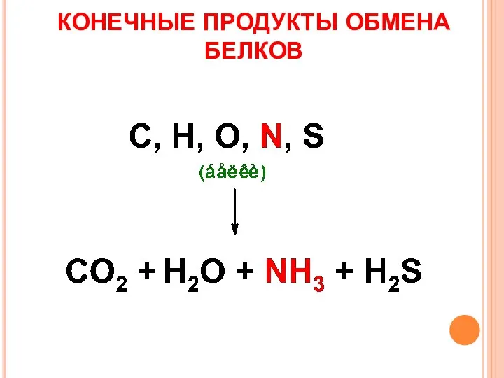 КОНЕЧНЫЕ ПРОДУКТЫ ОБМЕНА БЕЛКОВ