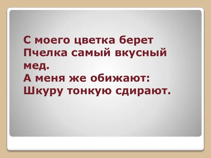 С моего цветка берет Пчелка самый вкусный мед. А меня же обижают: Шкуру тонкую сдирают.