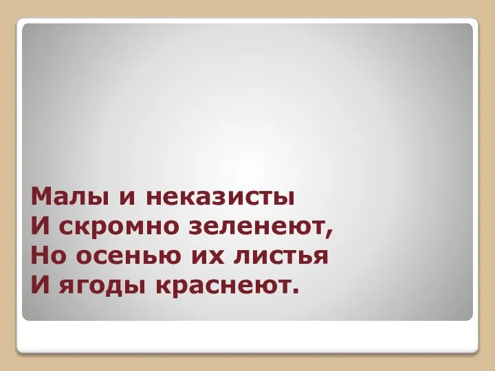 Малы и неказисты И скромно зеленеют, Но осенью их листья И ягоды краснеют.