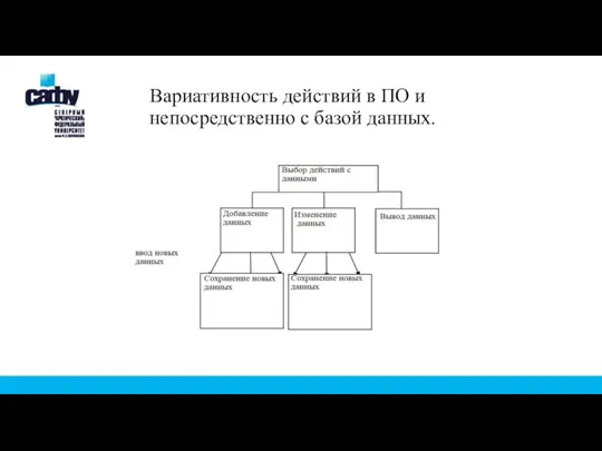 Вариативность действий в ПО и непосредственно с базой данных.