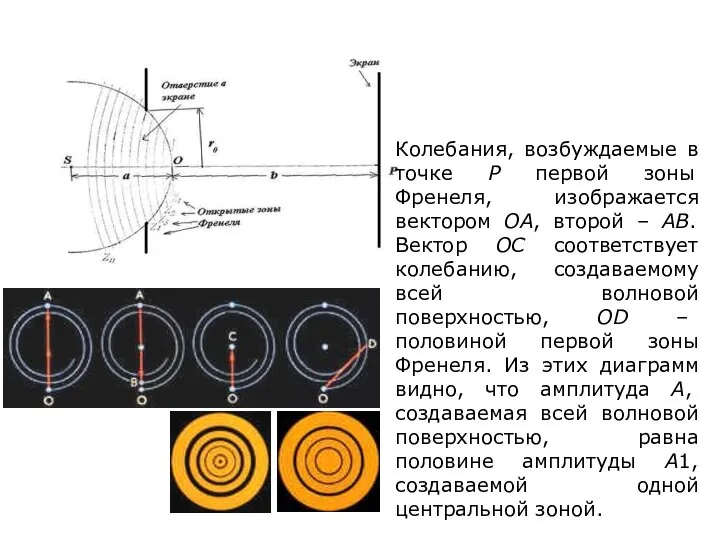 Колебания, возбуждаемые в точке P первой зоны Френеля, изображается вектором OA,