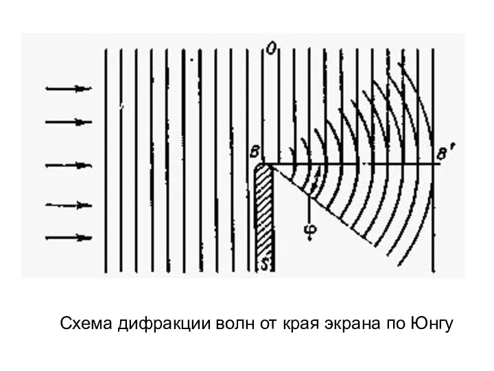 Схема дифракции волн от края экрана по Юнгу