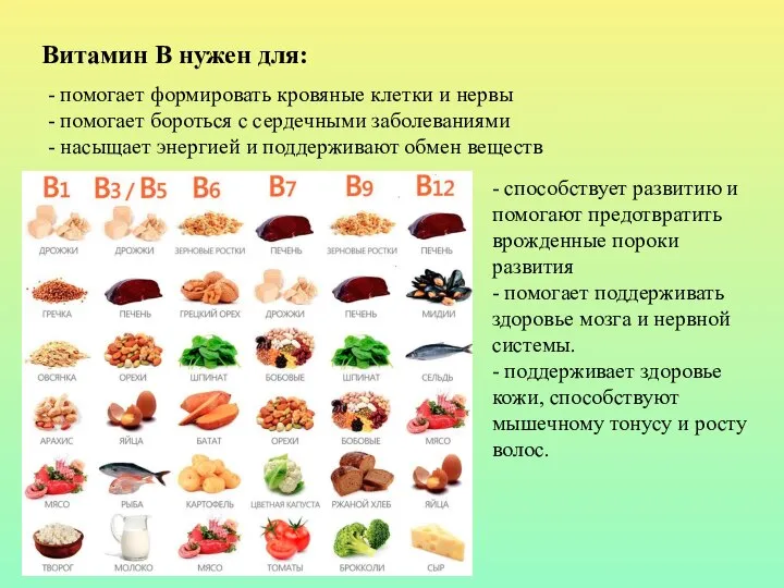 Витамин В нужен для: - помогает формировать кровяные клетки и нервы