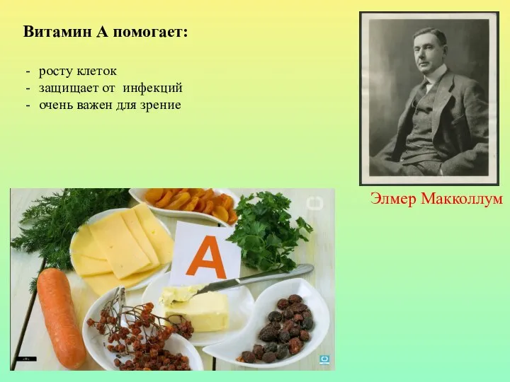 Витамин А помогает: росту клеток защищает от инфекций очень важен для зрение Элмер Макколлум