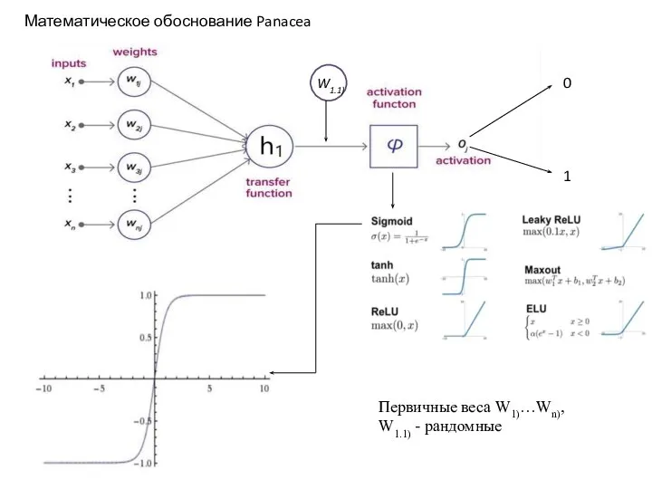 0 1 Первичные веса W1)…Wn), W1.1) - рандомные W1.1) Математическое обоснование Panacea