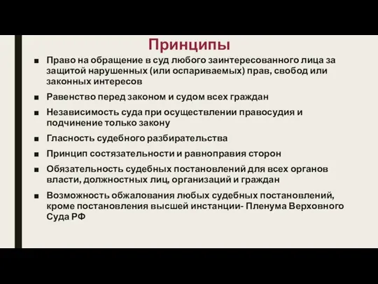 Принципы Право на обращение в суд любого заинтересованного лица за защитой