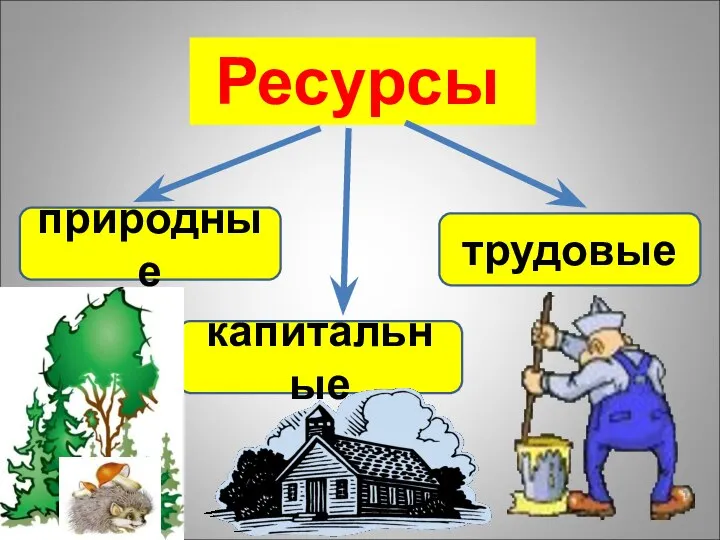 Ресурсы природные капитальные трудовые