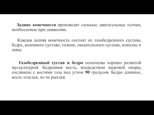 Задние конечности производят сильные двигательные толчки, необходимые при движении, Каждая задняя