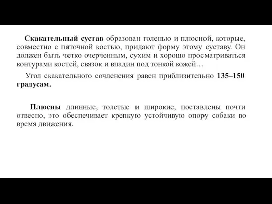 Скакательный сустав образован голенью и плюсной, которые, совместно с пяточной костью,