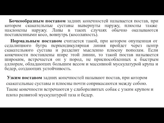 Бочкообразным поставом задних конечностей называется постав, при котором скакательные суставы вывернуты