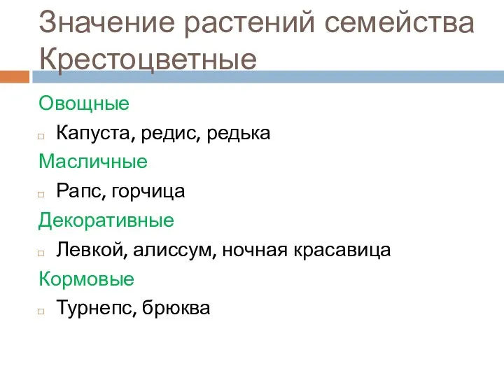 Значение растений семейства Крестоцветные Овощные Капуста, редис, редька Масличные Рапс, горчица