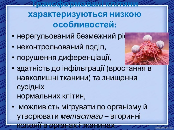 Трансформовані клітини характеризуються низкою особливостей: нерегульований безмежний ріст, неконтрольований поділ, порушення