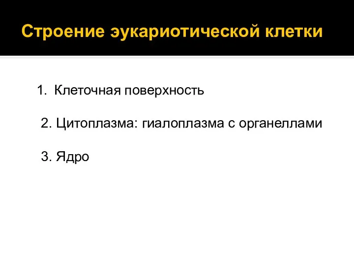 Строение эукариотической клетки Клеточная поверхность 2. Цитоплазма: гиалоплазма с органеллами 3. Ядро