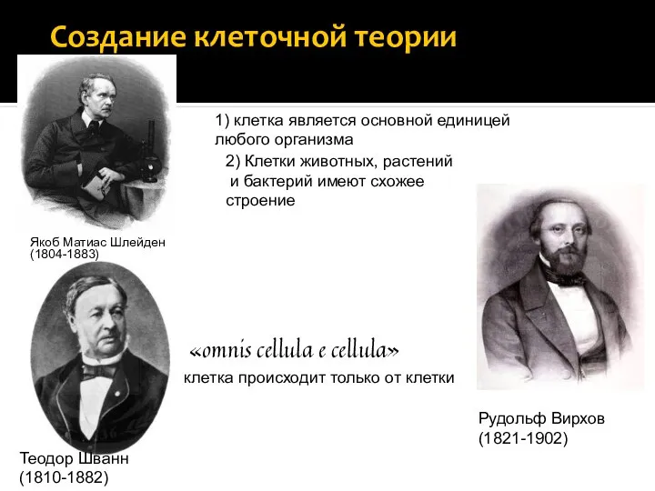 Создание клеточной теории Якоб Матиас Шлейден (1804-1883) Теодор Шванн (1810-1882) 1)