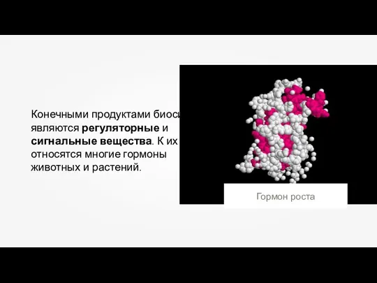 Конечными продуктами биосинтеза являются регуляторные и сигнальные вещества. К их числу