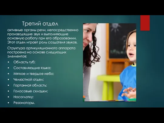 Третий отдел активные органы речи, непосредственно производящие звук и выполняющие основную