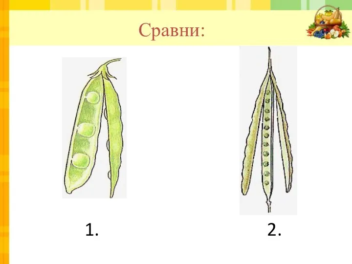 Сравни: 1. 2.