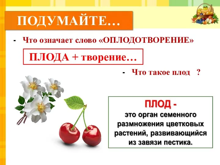 Что означает слово «ОПЛОДОТВОРЕНИЕ» ПЛОДА + творение… Что такое плод ?