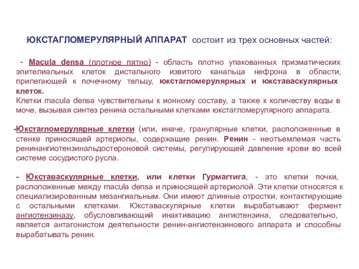 ЮКСТАГЛОМЕРУЛЯРНЫЙ АППАРАТ состоит из трех основных частей: - Macula densa (плотное