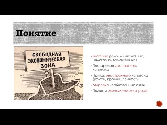 Понятие Льготные режимы (валютные, налоговые, таможенные) Поощрение экспортного капитала Приток иностранного