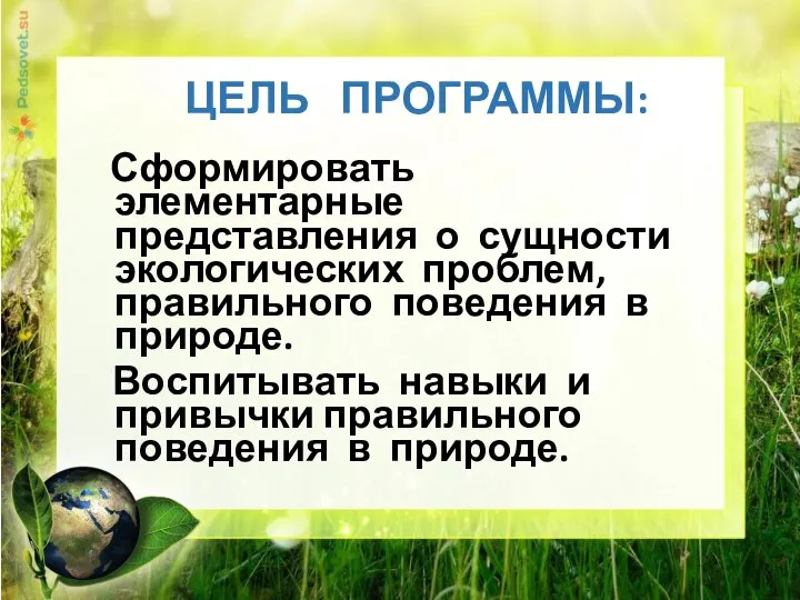 ЦЕЛЬ ПРОГРАММЫ: Сформировать элементарные представления о сущности экологических проблем, правильного поведения