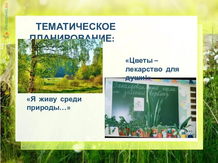 ТЕМАТИЧЕСКОЕ ПЛАНИРОВАНИЕ: «Я живу среди природы…» «Цветы – лекарство для души!»