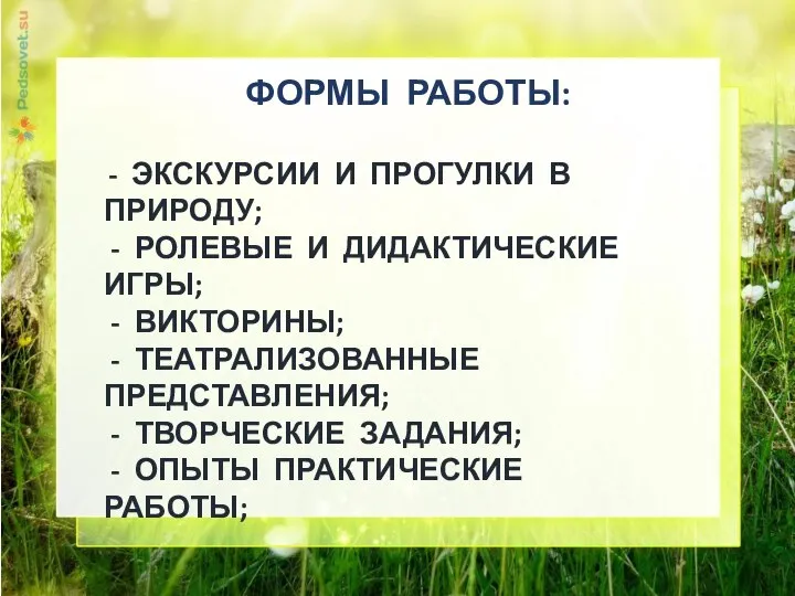 ФОРМЫ РАБОТЫ: - ЭКСКУРСИИ И ПРОГУЛКИ В ПРИРОДУ; - РОЛЕВЫЕ И