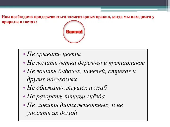 Не срывать цветы Не ломать ветки деревьев и кустарников Не ловить