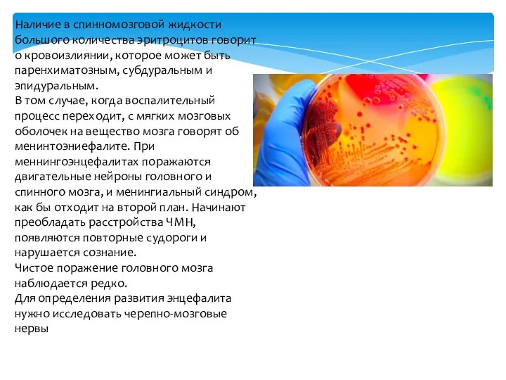 Наличие в спинномозговой жидкости большого количества эритроцитов говорит о кровоизлиянии, которое