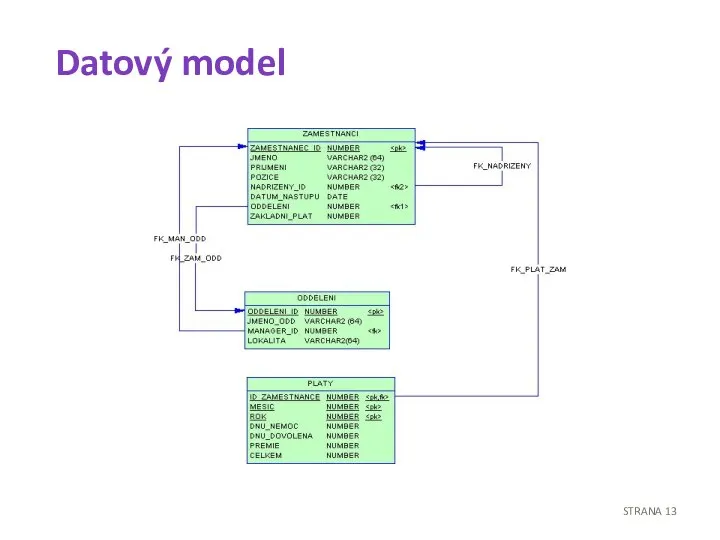 Datový model STRANA