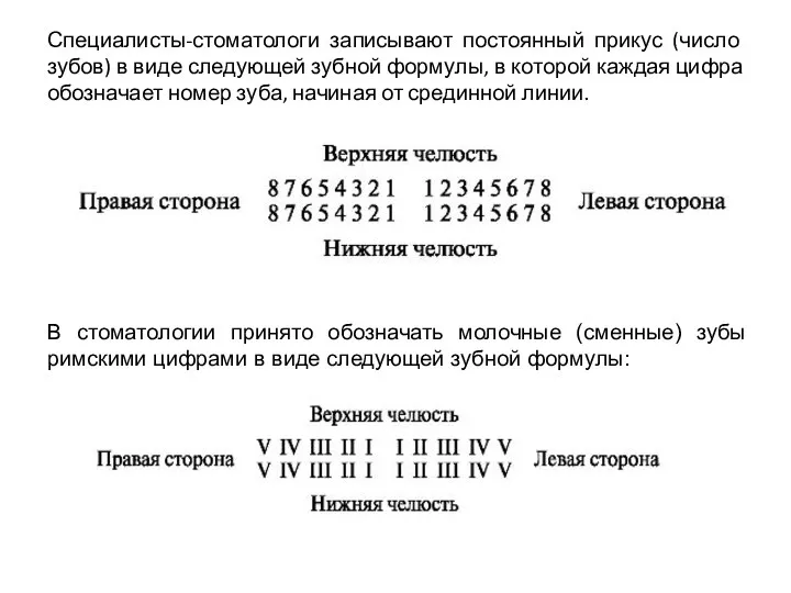 Специалисты-стоматологи записывают постоянный прикус (число зубов) в виде следующей зубной формулы,