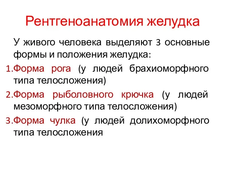 Рентгеноанатомия желудка У живого человека выделяют 3 основные формы и положения