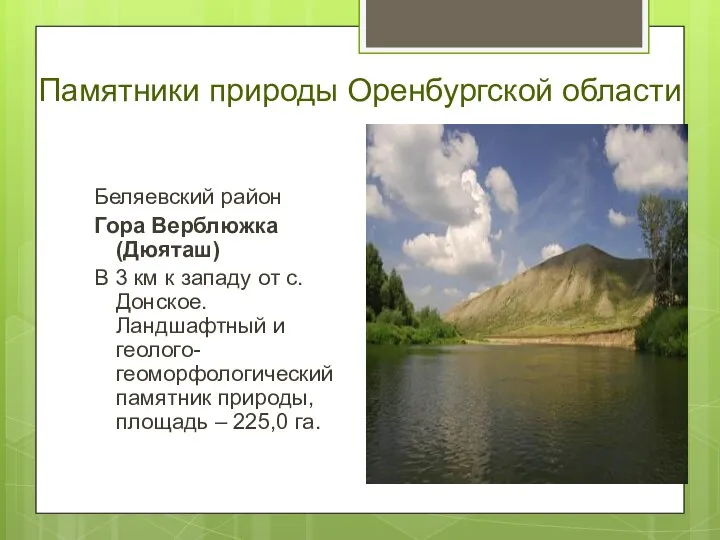 Памятники природы Оренбургской области Беляевский район Гора Верблюжка (Дюяташ) В 3