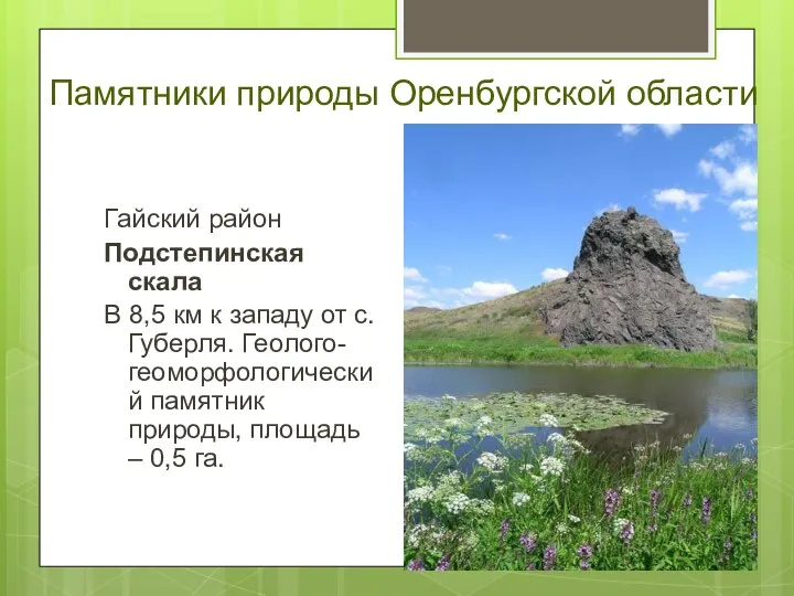 Памятники природы Оренбургской области Гайский район Подстепинская скала В 8,5 км