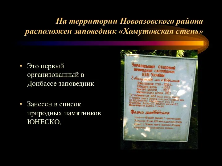 На территории Новоазовского района расположен заповедник «Хомутовская степь» Это первый организованный