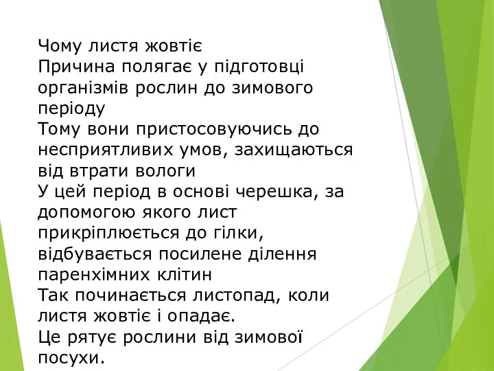 Чому листя жовтіє Причина полягає у підготовці організмів рослин до зимового