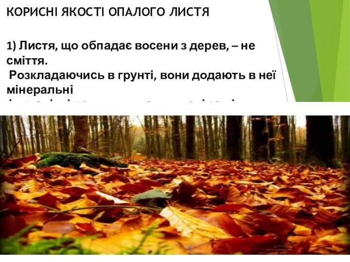 КОРИСНІ ЯКОСТІ ОПАЛОГО ЛИСТЯ 1) Листя, що обпадає восени з дерев,