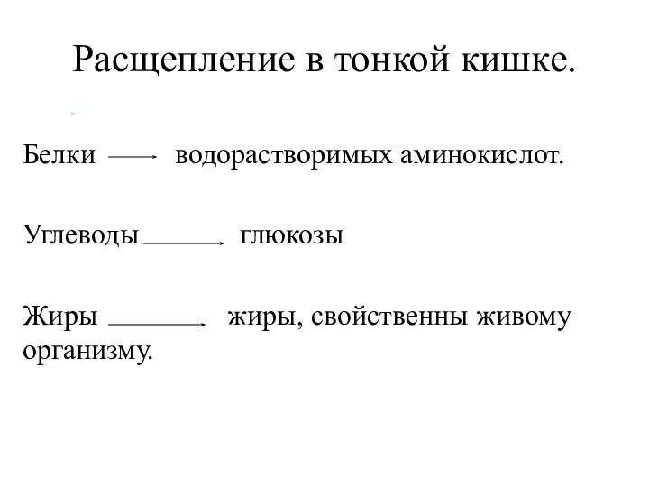 Расщепление в тонкой кишке. Белки водорастворимых аминокислот. Углеводы глюкозы Жиры жиры, свойственны живому организму.