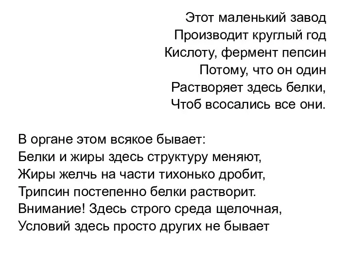 Этот маленький завод Производит круглый год Кислоту, фермент пепсин Потому, что