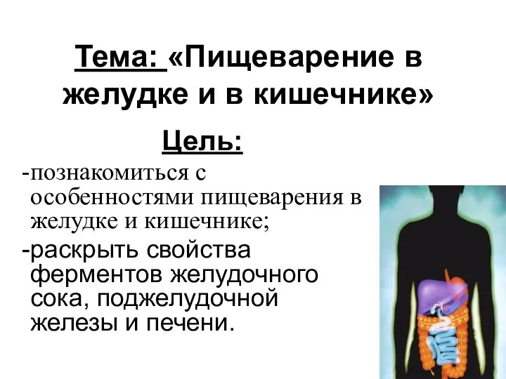 Цель: познакомиться с особенностями пищеварения в желудке и кишечнике; раскрыть свойства