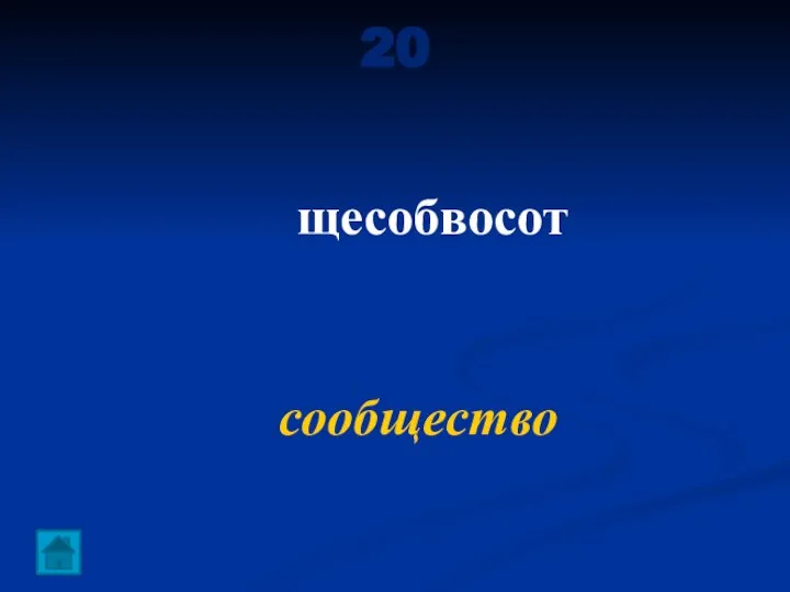 20 щесобвосот сообщество